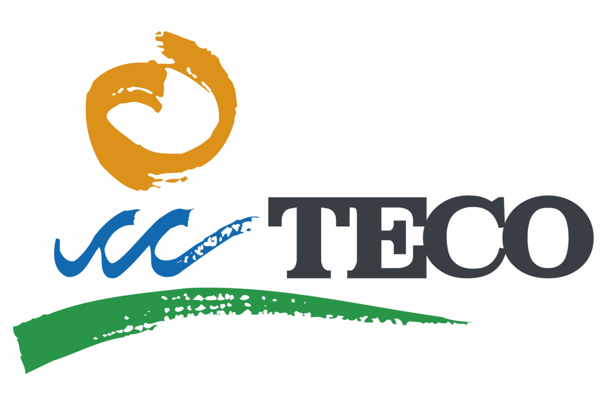 Teco Logo Rev2024 Step1